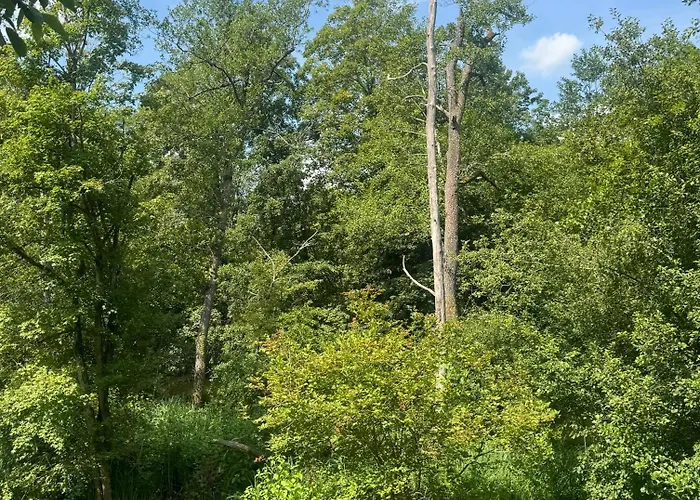 Villa Unique Luxury 22 Min To Munich 290m2 Pool Sauna *